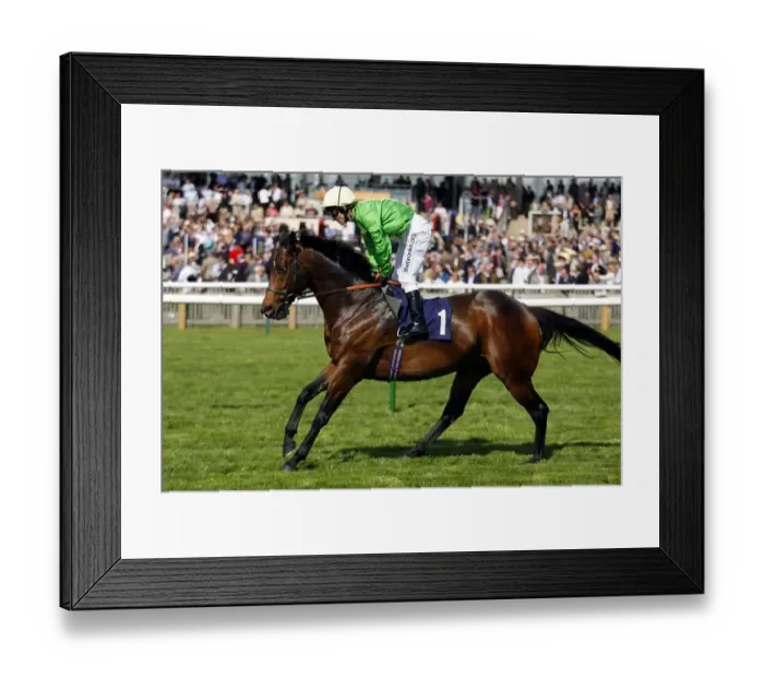 Framed Print : Baltic King Framed Print : Baltic King