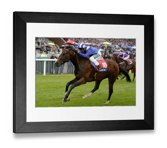 Framed Print : Shmookh Ridden By Martin Dwyer May Festival Meeting York 2007 York Racecourse Framed Print : Shmookh Ridden By Martin Dwyer May Festival Meeting York 2007 York Racecourse