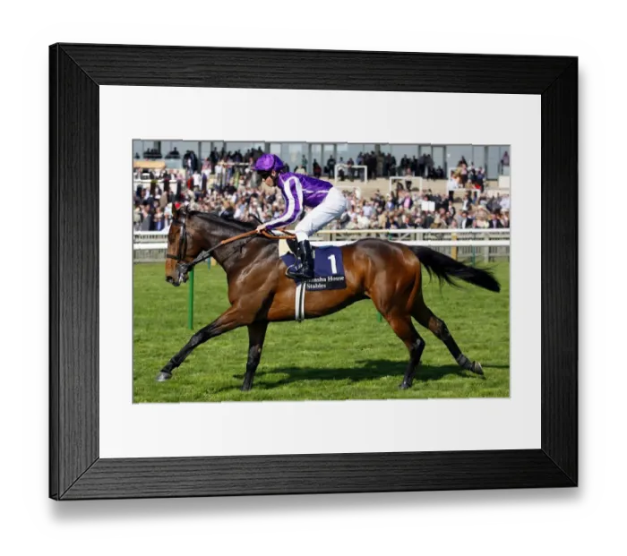 Framed Print : Adagio Ridden By Kerrin Mcevoy Newmarket Craven Meeting 2007 Rowley Mile Course Framed Print : Adagio Ridden By Kerrin Mcevoy Newmarket Craven Meeting 2007 Rowley Mile Course