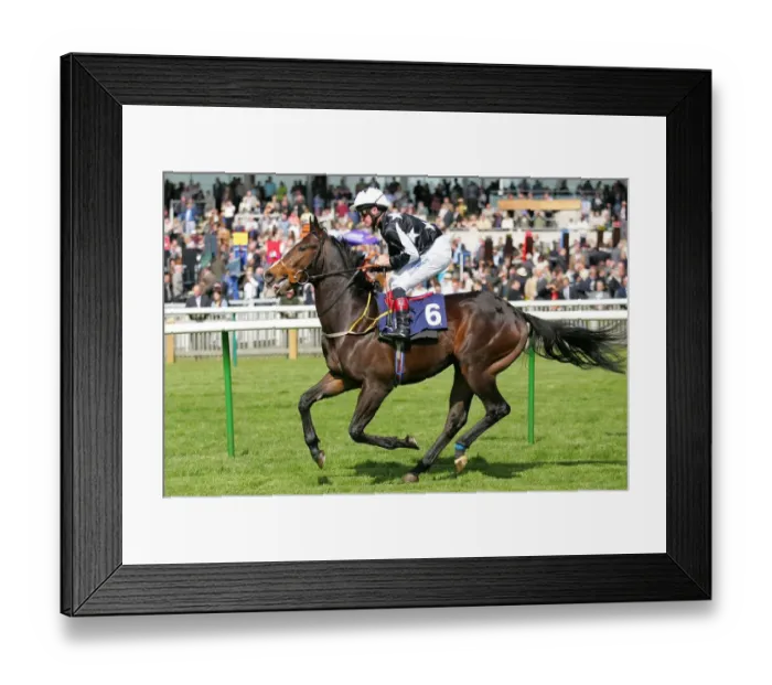 Framed Print : Spirit Of Sharjah Framed Print : Spirit Of Sharjah