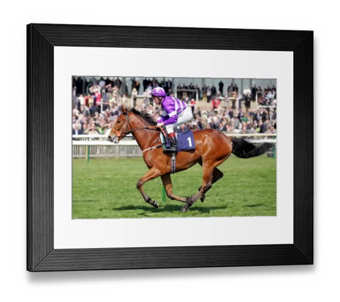 Framed Print : Nikindi Ridden By John Egan Newmarket Craven Meeting 2007 Rowley Mile Course Framed Print : Nikindi Ridden By John Egan Newmarket Craven Meeting 2007 Rowley Mile Course