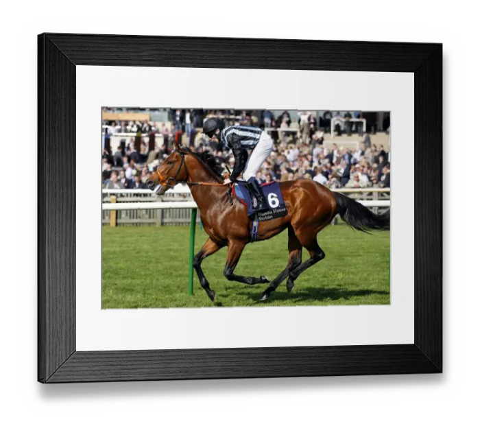 Framed Print : Sonny Red Ridden By Jamie Spencer Newmarket Craven Meeting 2007 Rowley Mile Course Framed Print : Sonny Red Ridden By Jamie Spencer Newmarket Craven Meeting 2007 Rowley Mile Course
