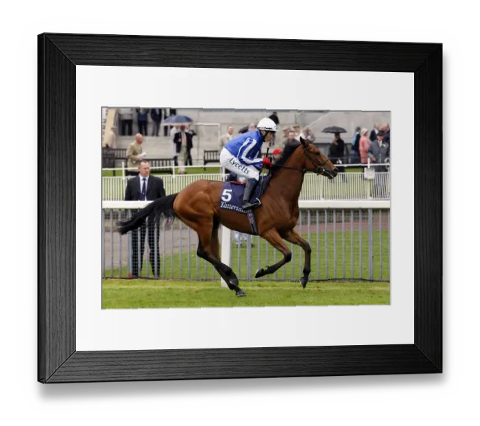 Framed Print : Sweet Lilly Framed Print : Sweet Lilly