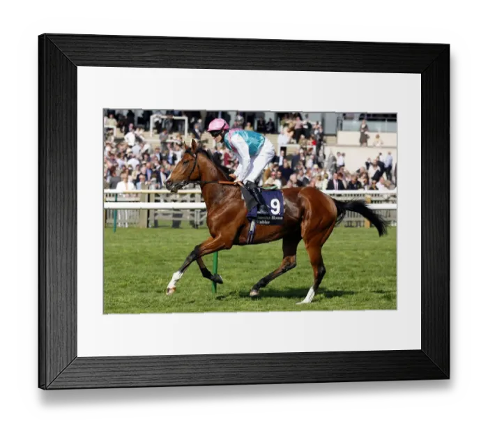 Framed Print : Thousand Words Framed Print : Thousand Words