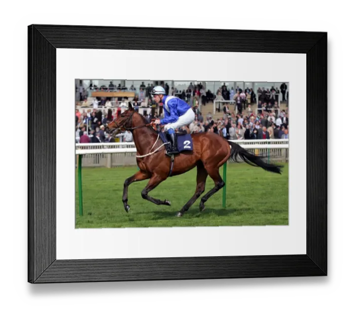Framed Print : Hinton Admiral Framed Print : Hinton Admiral
