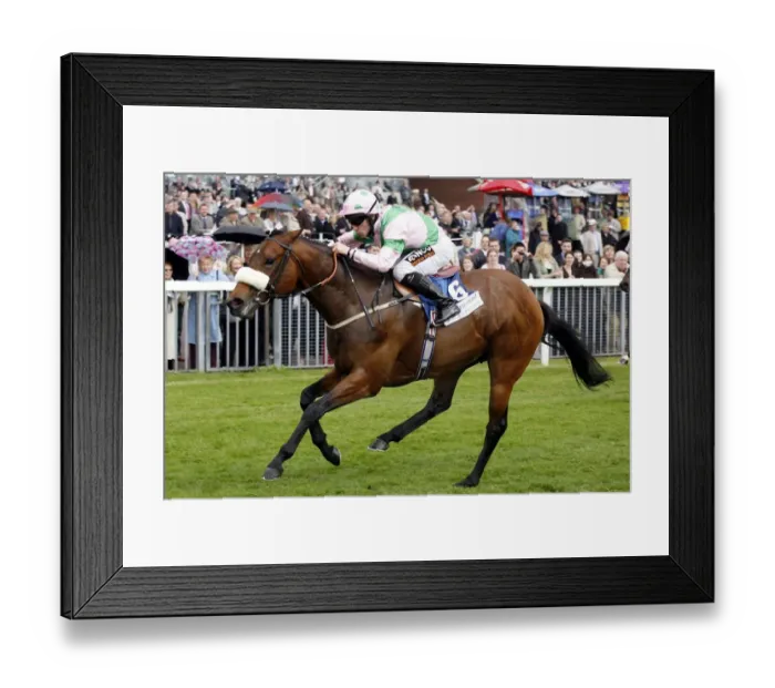 Framed Print : Amadeus Wolf Framed Print : Amadeus Wolf