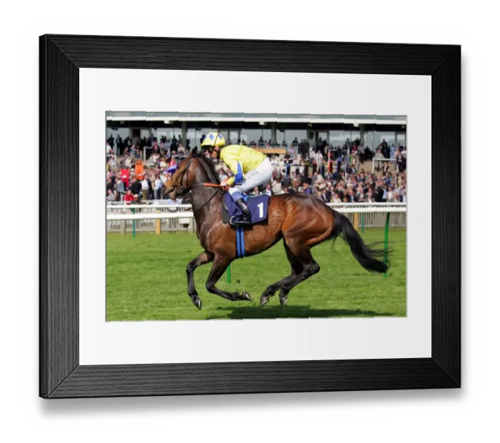 Framed Print : Vital Statistics Framed Print : Vital Statistics