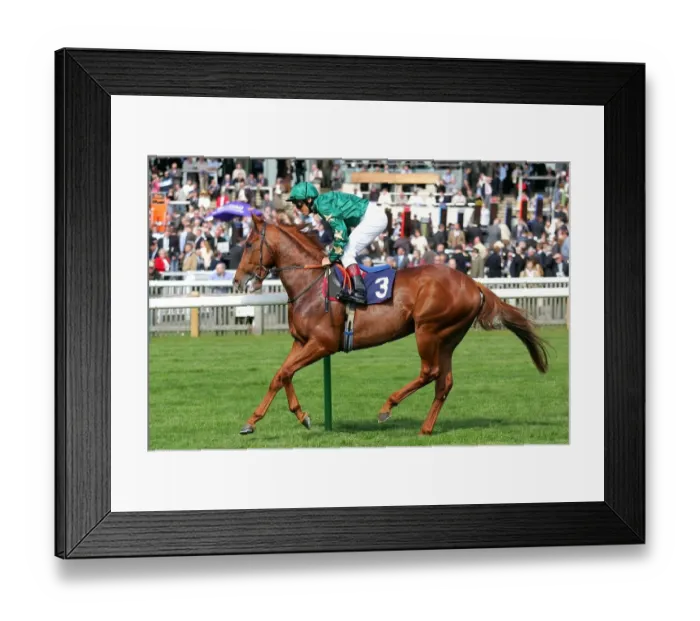 Framed Print : Hamoody Ridden By L Dettori Newmarket Craven Meeting 2007 Rowley Mile Course Framed Print : Hamoody Ridden By L Dettori Newmarket Craven Meeting 2007 Rowley Mile Course