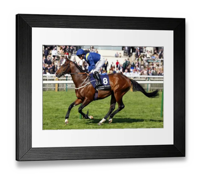Framed Print : Telin Ridden By Kevin Darley Newmarket Craven Meeting 2007 Rowley Mile Course Framed Print : Telin Ridden By Kevin Darley Newmarket Craven Meeting 2007 Rowley Mile Course