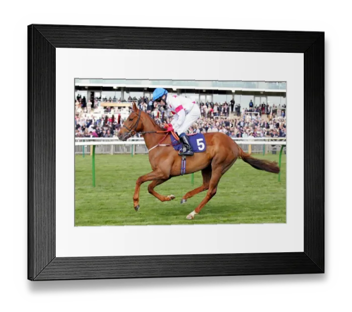 Framed Print : Eddie Jock