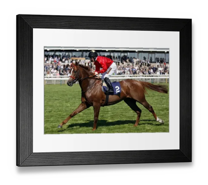 Framed Print : Hazytoo Ridden By N.Callan Newmarket Craven Meeting 2007 Rowley Mile Course Framed Print : Hazytoo Ridden By N.Callan Newmarket Craven Meeting 2007 Rowley Mile Course