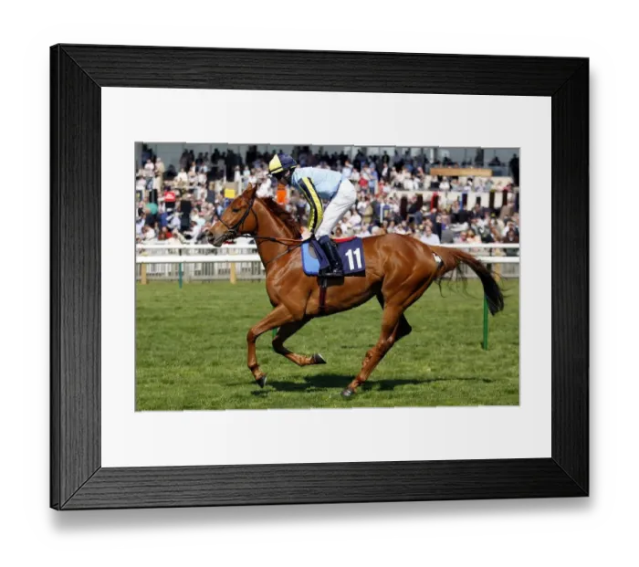 Framed Print : Chantilly Tiffany Framed Print : Chantilly Tiffany