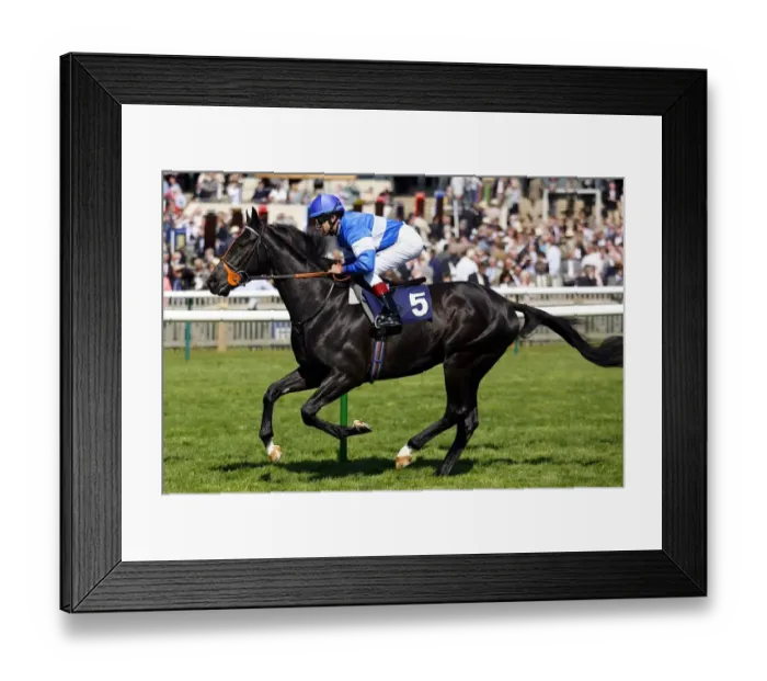 Framed Print : Natural Action Framed Print : Natural Action
