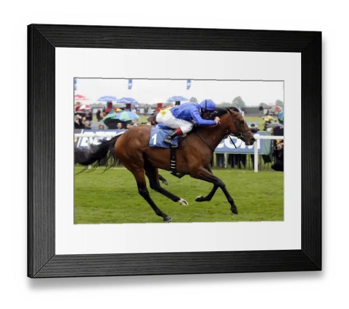 Framed Print : Emirates Skyline