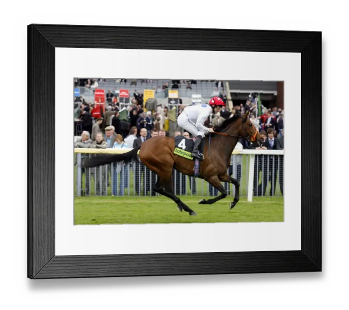 Framed Print : Ivory Gala Framed Print : Ivory Gala