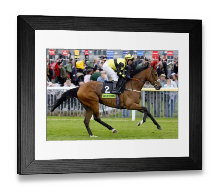 Framed Print : Maroussies Wings Framed Print : Maroussies Wings