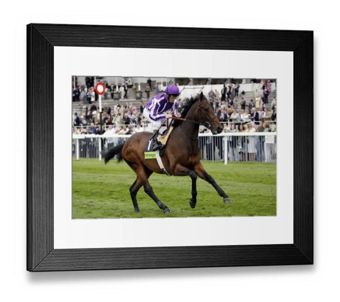 Framed Print : Adagio Ridden By Kerrin Mcevoy The May Festival York The Knavesmire Framed Print : Adagio Ridden By Kerrin Mcevoy The May Festival York The Knavesmire