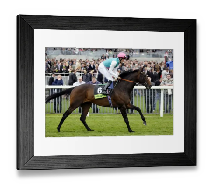 Framed Print : Raincoat Ridden By R Hughes The May Festival York The Knavesmire Framed Print : Raincoat Ridden By R Hughes The May Festival York The Knavesmire