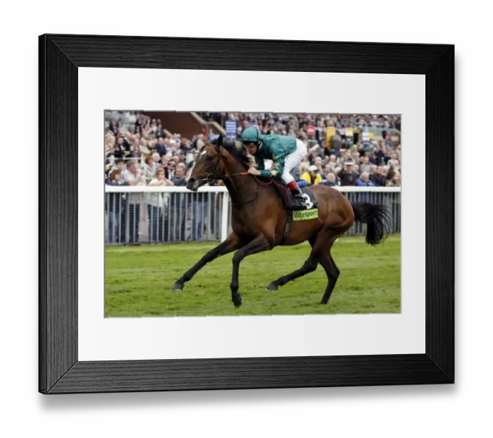 Framed Print : Authorized Framed Print : Authorized