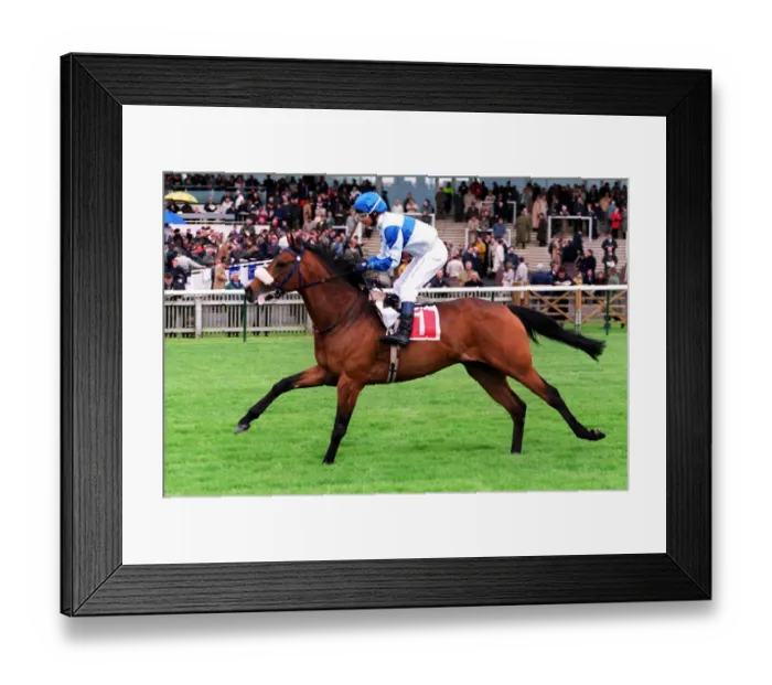 Framed Print : Barathea Guest Framed Print : Barathea Guest