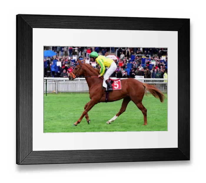 Framed Print : Scarteen Fox Framed Print : Scarteen Fox