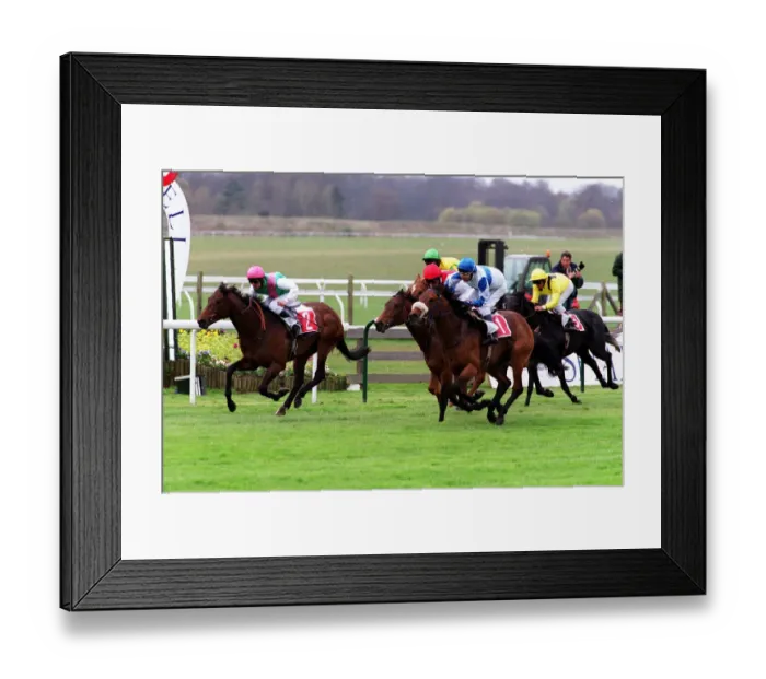 Framed Print : Barathea Guest (No 1) Framed Print : Barathea Guest (No 1)