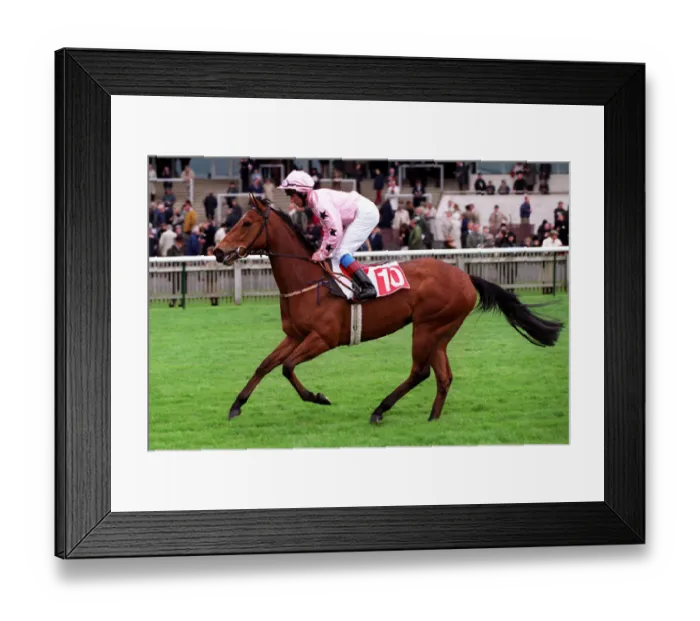 Framed Print : Misty Miss Framed Print : Misty Miss