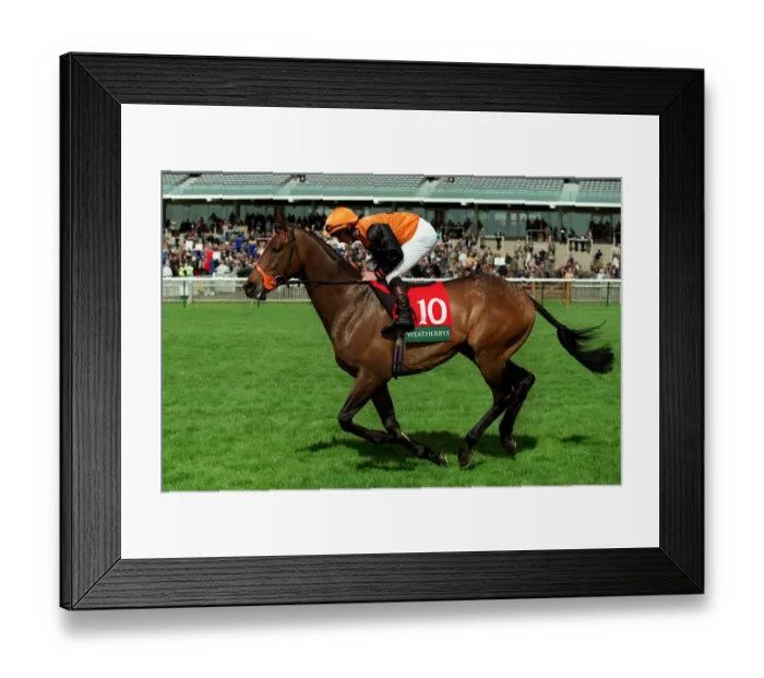 Framed Print : Sergeant York Framed Print : Sergeant York