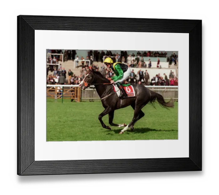 Framed Print : Cape Town. Ridden By Richard Hughes 19 April 2000 Date: 19 April 2000 Framed Print : Cape Town. Ridden By Richard Hughes 19 April 2000 Date: 19 April 2000