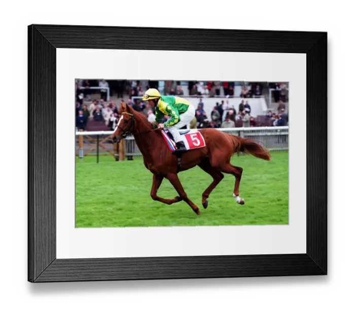 Framed Print : Priestlaw Ridden By John Reid 20 April 2000 Date: 20 April 2000 Framed Print : Priestlaw Ridden By John Reid 20 April 2000 Date: 20 April 2000