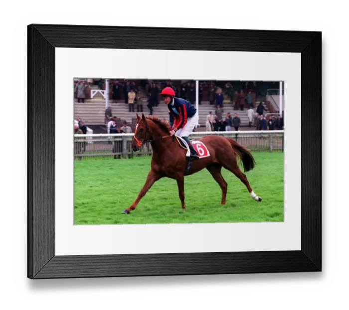 Framed Print : Umistim Ridden By Richard Hughes 20 April 2000 Date: 20 April 2000