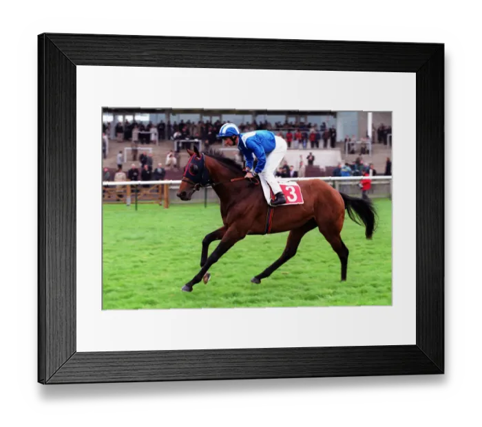 Framed Print : Ekraar Ridden By Richard Hills 20 April 2000 Date: 20 April 2000