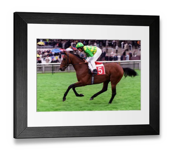 Framed Print : Shamrock City Framed Print : Shamrock City