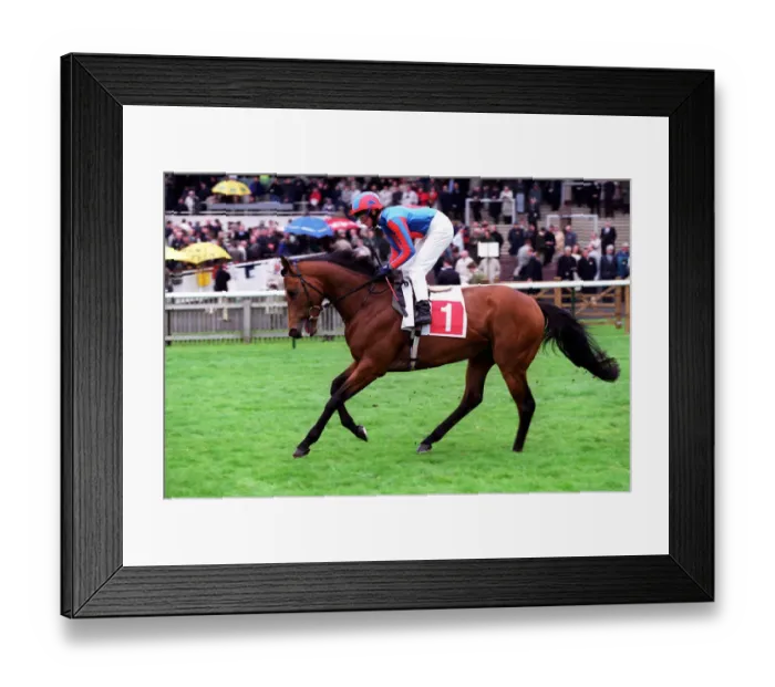 Framed Print : Rossini Ridden By M.J.Kinane 20 April 2000 Date: 20 April 2000