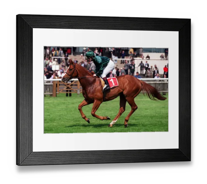 Framed Print : Akeed Ridden By J.Fortune 05 May 2000 Date: 05 May 2000 Framed Print : Akeed Ridden By J.Fortune 05 May 2000 Date: 05 May 2000