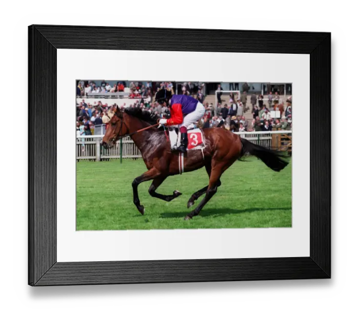 Framed Print : Strahan Ridden By J.Fortune 05 May 2000 Date: 05 May 2000