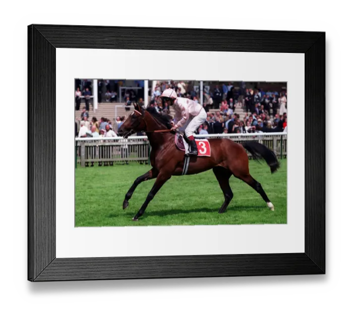 Framed Print : Wellbeing Ridden By Tony Quinn 06 May 2000 Date: 06 May 2000 Framed Print : Wellbeing Ridden By Tony Quinn 06 May 2000 Date: 06 May 2000