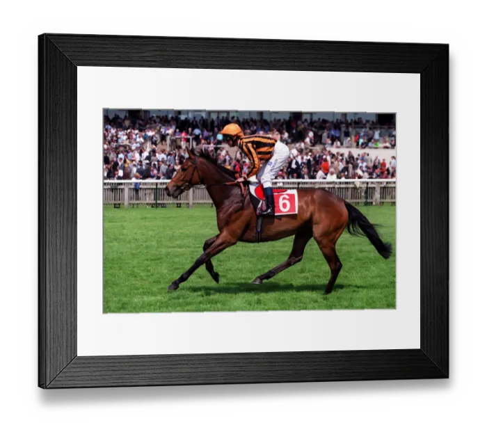 Framed Print : Miss Lorilaw Framed Print : Miss Lorilaw