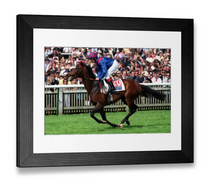 Framed Print : Race Leader Framed Print : Race Leader