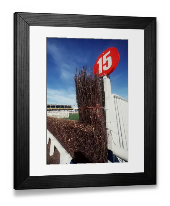 Framed Print : 15 Fence Cheltenham Framed Print : 15 Fence Cheltenham