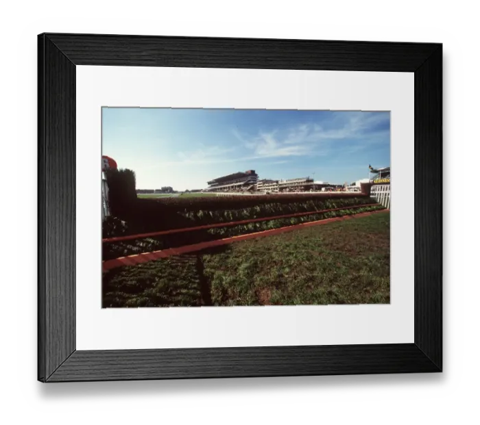 Framed Print : 6 Fence Cheltenham