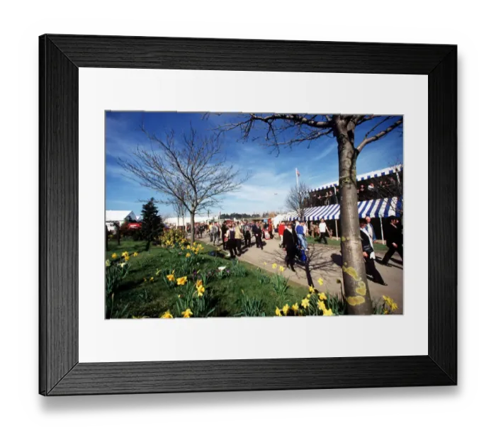 Framed Print : Racegoers Enter Cheltenham Framed Print : Racegoers Enter Cheltenham
