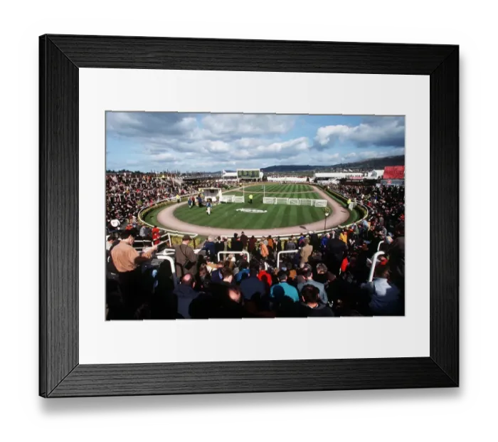 Framed Print : Parade Ring Cheltenham