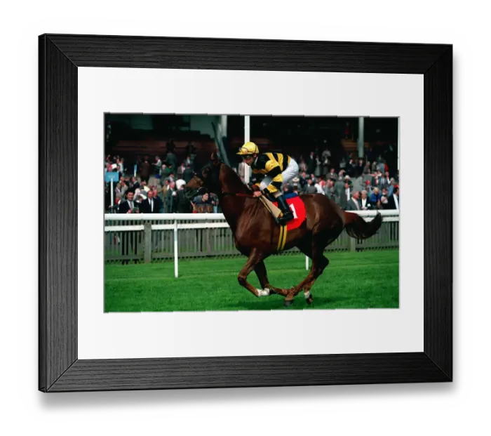 Framed Print : Apple Tree Framed Print : Apple Tree