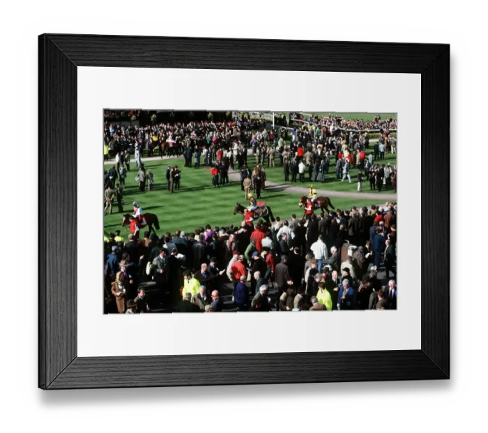 Framed Print : Parade Ring Cheltenham