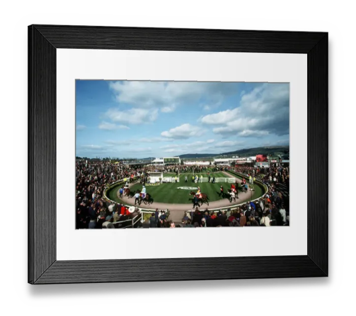 Framed Print : Parade Ring Framed Print : Parade Ring