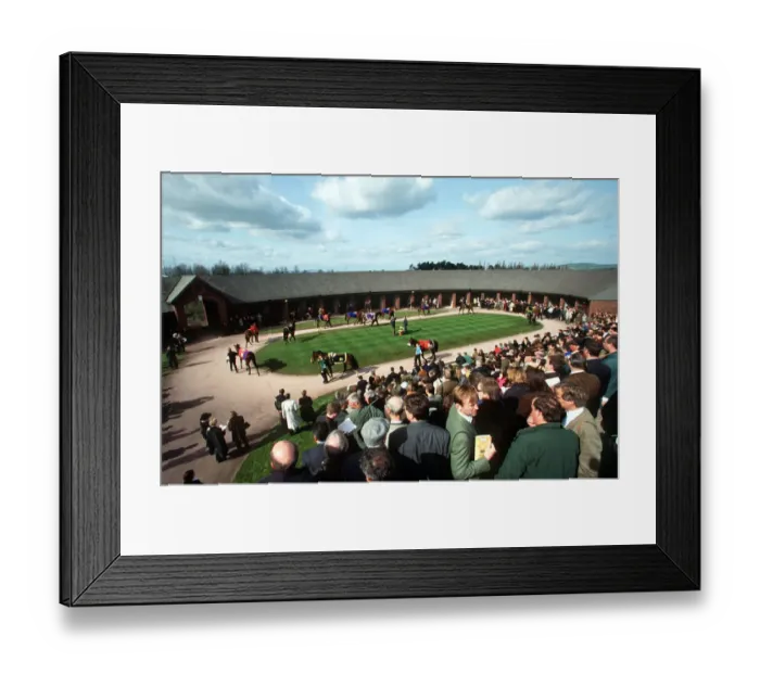 Framed Print : Pre Parade Ring Cheltenham Framed Print : Pre Parade Ring Cheltenham