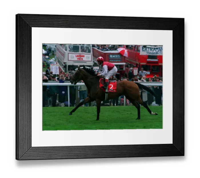 Framed Print : Barathea Ridden By Michael Roberts 29 June 1993 Date: 29 June 1993 Framed Print : Barathea Ridden By Michael Roberts 29 June 1993 Date: 29 June 1993