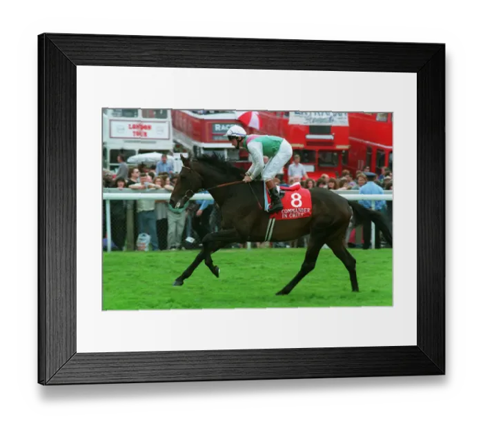 Framed Print : Commander In Chief Framed Print : Commander In Chief