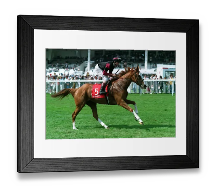 Framed Print : Gisarne Ridden By Cash Asmussen 29 June 1993 Date: 29 June 1993 Framed Print : Gisarne Ridden By Cash Asmussen 29 June 1993 Date: 29 June 1993